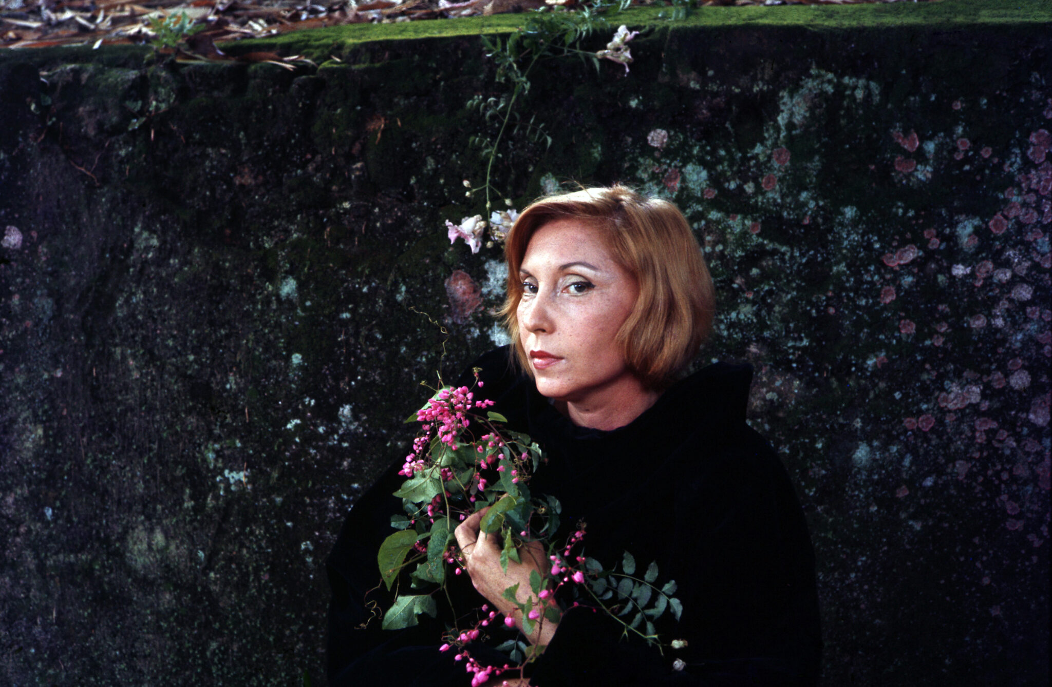 Clarice Lispector: Visions of Splendor Clarice Lispector